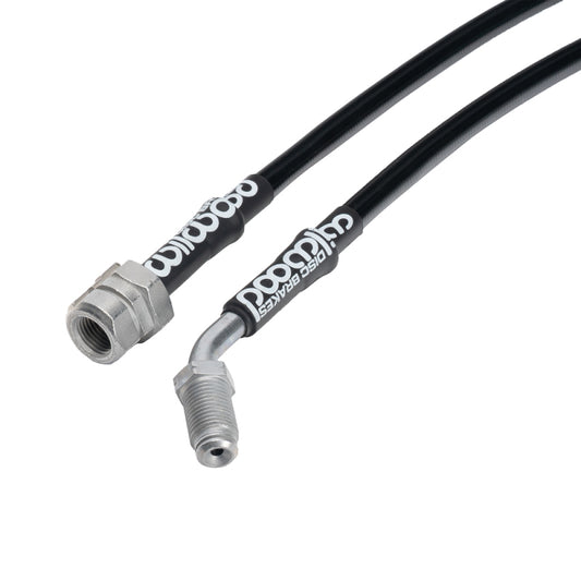 Photo - Primary