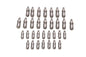 Ford Racing Ford GT and Mustang SVT 5.4L Lash Adjusters